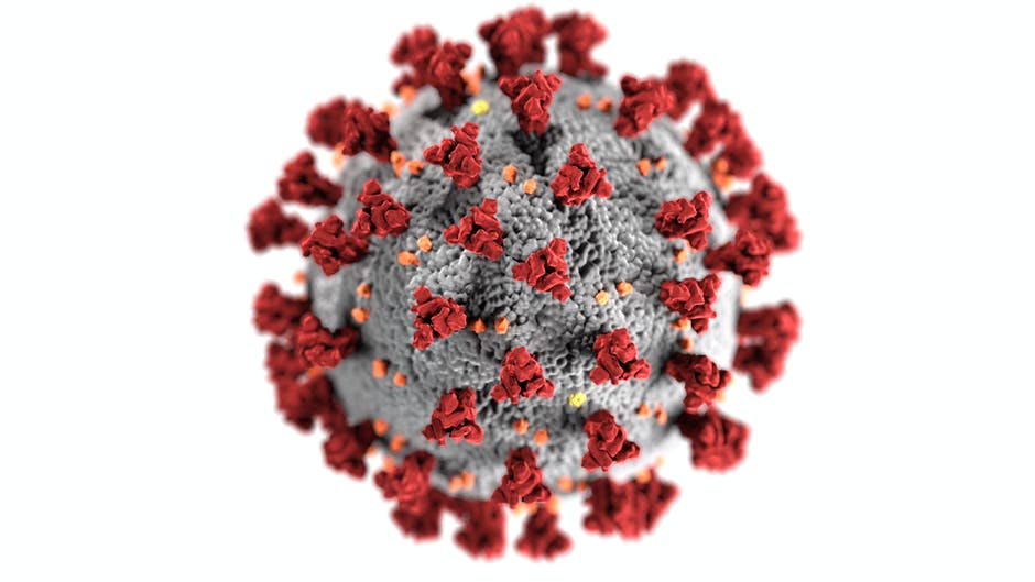 Corona Virüs Mikroskopik Görünüm