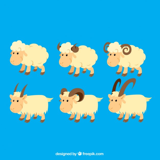 Vektörel Koyun ve Keçi Çizimleri